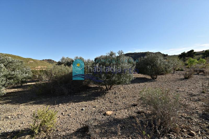 Foto e5f56310-3407-47e5-8bda-83c3cc238bdb. Rural plot in Mazarrón casco urbano Mazarrón