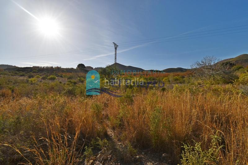 Foto e7d330c2-d477-4ba6-baff-28c978c77292. Rural plot in Mazarrón casco urbano Mazarrón