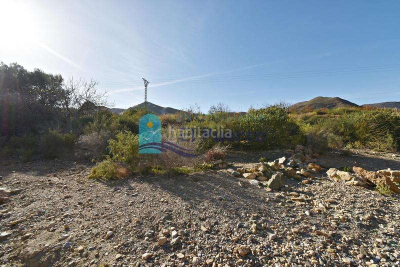 Foto e8017683-55b8-44da-9a47-9a07bc61cf3b. Rural plot in Mazarrón casco urbano Mazarrón