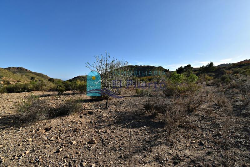 Foto f4638b13-dafc-48c2-af35-c423430f569e. Rural plot in Mazarrón casco urbano Mazarrón