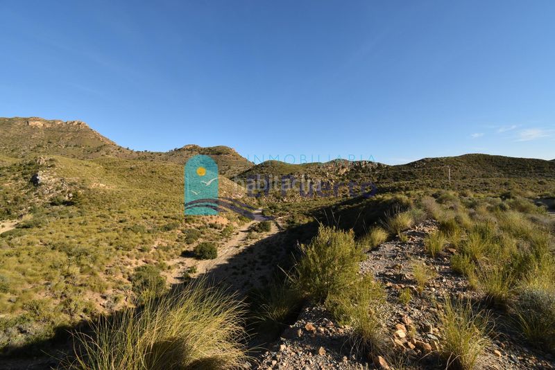 Foto b2067cb5-8ce3-4303-9462-5793e3655995. Finca rústica a Mazarrón casco urbano Mazarrón
