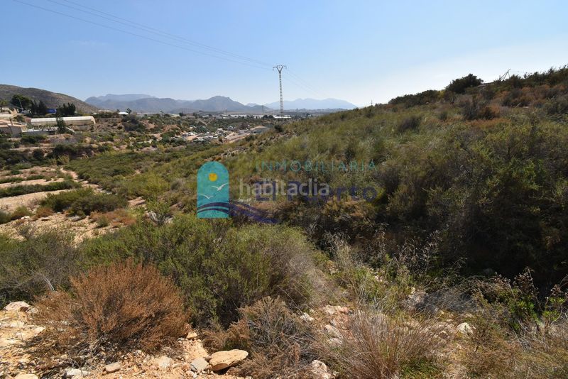 Foto d742105f-84ac-4d03-837f-506841bfc514. Finca rústica a Mazarrón casco urbano Mazarrón