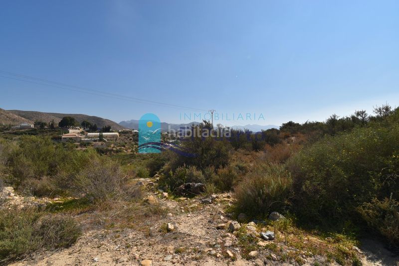 Foto e99bac0d-0846-4420-8194-3fe04e24d6fb. Finca rústica a Mazarrón casco urbano Mazarrón