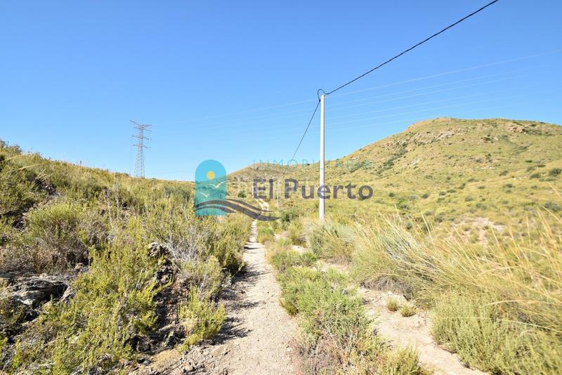 Foto 11c288bd-a84f-43c0-8fcd-0cf0575ddd18. Finca rústica a Mazarrón casco urbano Mazarrón