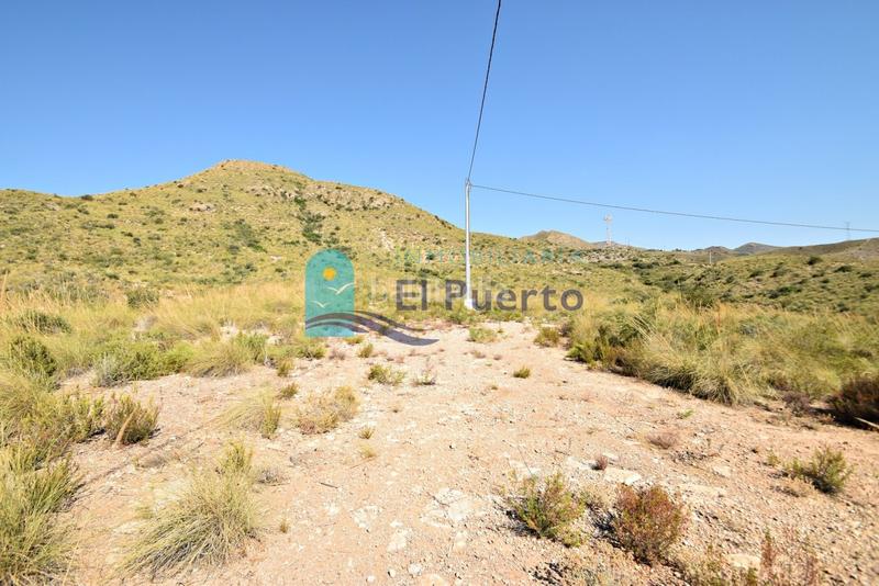 Foto 145107eb-2ab9-425c-a9fe-db7fa5e1fa9d. Finca rústica a Mazarrón casco urbano Mazarrón