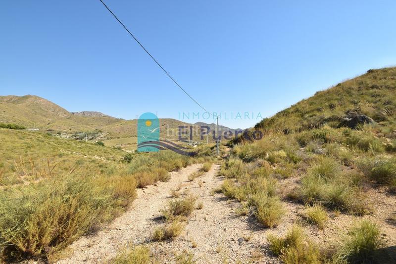 Foto 3e904347-7c77-414f-bfbb-b2765feb8eea. Finca rústica a Mazarrón casco urbano Mazarrón