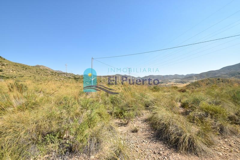 Foto 4f8cd8e3-45c6-416e-a967-6a6b1c7ea37d. Finca rústica a Mazarrón casco urbano Mazarrón