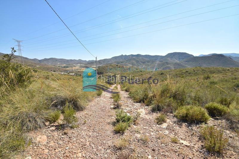 Foto 56e678c7-2f94-4128-940c-aa414bf91756. Finca rústica a Mazarrón casco urbano Mazarrón