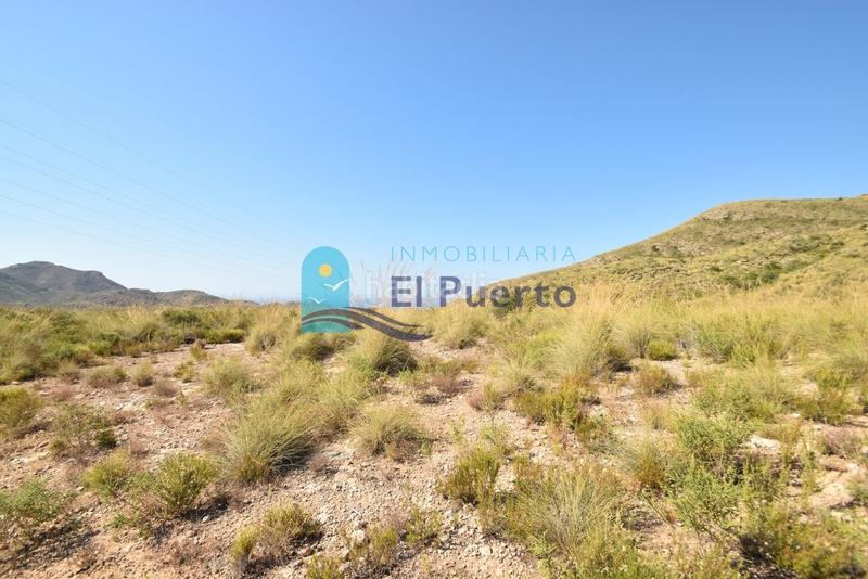 Foto 88b42e92-ed86-4e00-8f0a-fafe6d688751. Finca rústica a Mazarrón casco urbano Mazarrón