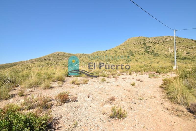 Foto 8a475a43-a3fe-4d75-a1e2-ffcf5233faed. Finca rústica a Mazarrón casco urbano Mazarrón