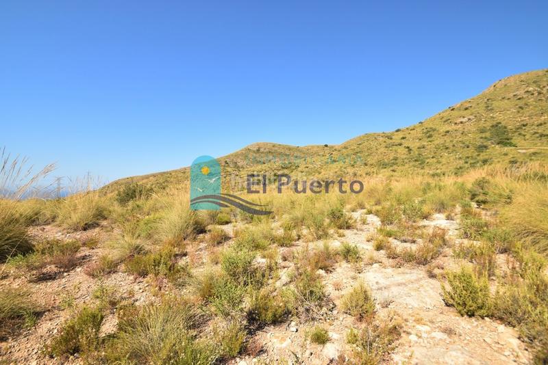 Foto 8a92aa1e-2be0-49bb-8ac6-f39fbd0bbd95. Finca rústica a Mazarrón casco urbano Mazarrón