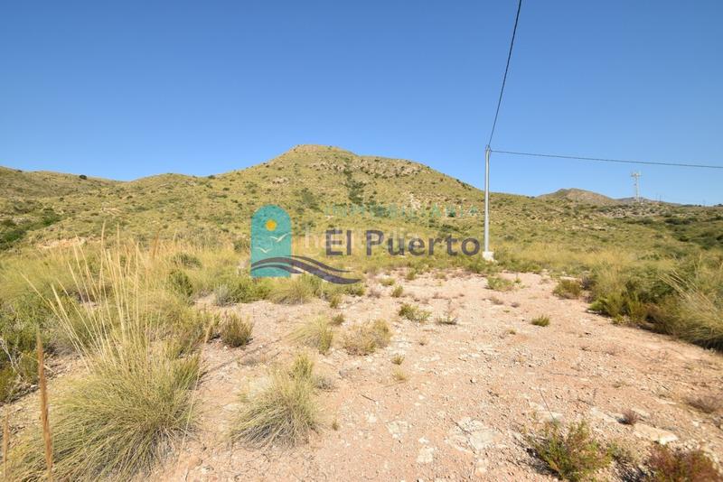 Foto 8ee506bf-760b-415c-ad86-76dce425c317. Finca rústica a Mazarrón casco urbano Mazarrón