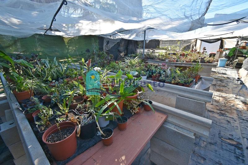 Foto 10f7e181-7421-4ec1-b1a7-3de10920a315. Casa con riscaldamento piscina in La Pinilla - Las Palas Fuente Álamo de Murcia