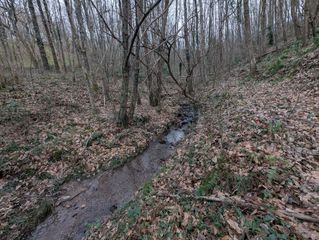 Propriété à Algorrieta bidea 6