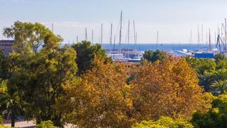 Apartment in 0. Maravilloso ático con vistas al mar en una zona muy céntrica en