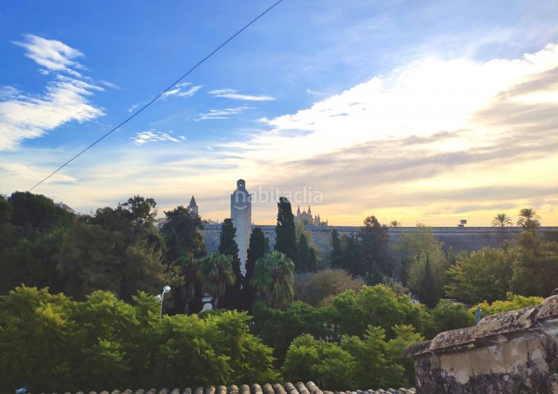 Foto acecbeac-caef-45bc-b183-f3fbb4de4c90. Apartament a 0 a Santa Catalina Palma de Mallorca