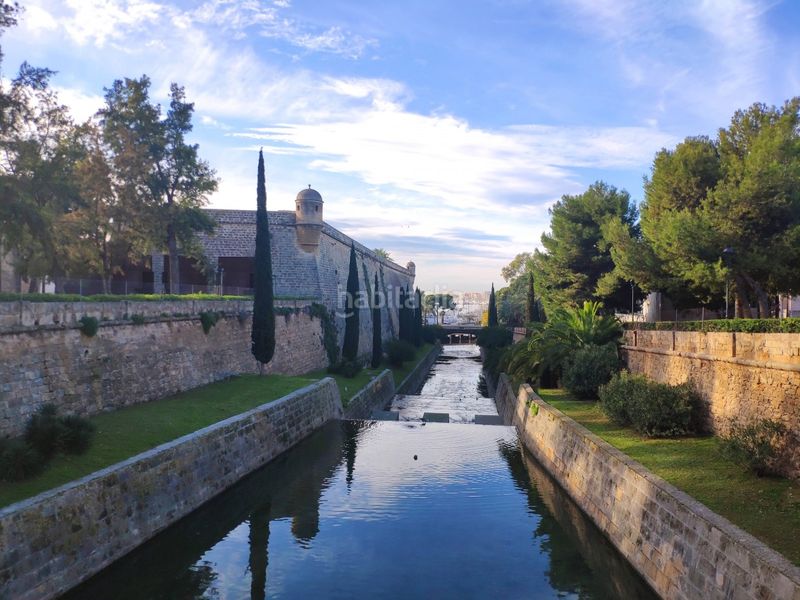 Foto d49586f2-874d-42de-a786-87633ccb4a90. Apartament a 0 a Santa Catalina Palma de Mallorca