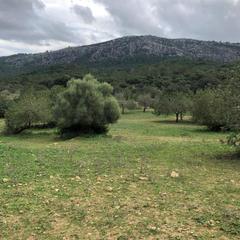 Chalet à 0. Gran oportunidad de inversión!