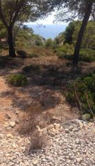 Finca rústica a 0. Fantástica parcela con vistas al mar disponible para la venta en