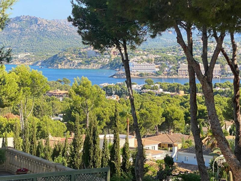 Foto 9e495859-9ff9-42dd-ae2a-0af72bd0ad1b. Chalet in 0 in Santa Ponça Calvià