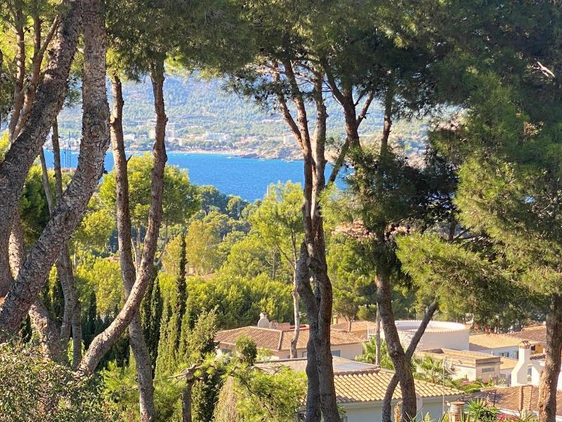 Foto c82de733-76ba-4c3b-b2c3-37c23361c958. Chalet in 0 in Santa Ponça Calvià