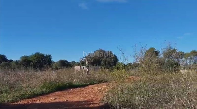 Foto 39e52885-cc2b-497e-8c05-f87e7df58869. Finca rústica a 0 a Sineu