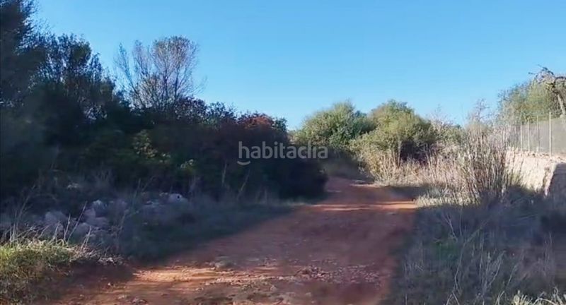 Foto 75e46fc2-3e88-4001-a4e2-c55506093aff. Finca rústica a 0 a Sineu