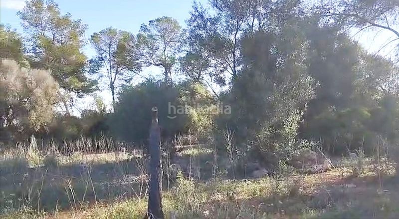 Foto 86584608-d756-4d51-8c10-26fea99bf232. Finca rústica a 0 a Sineu