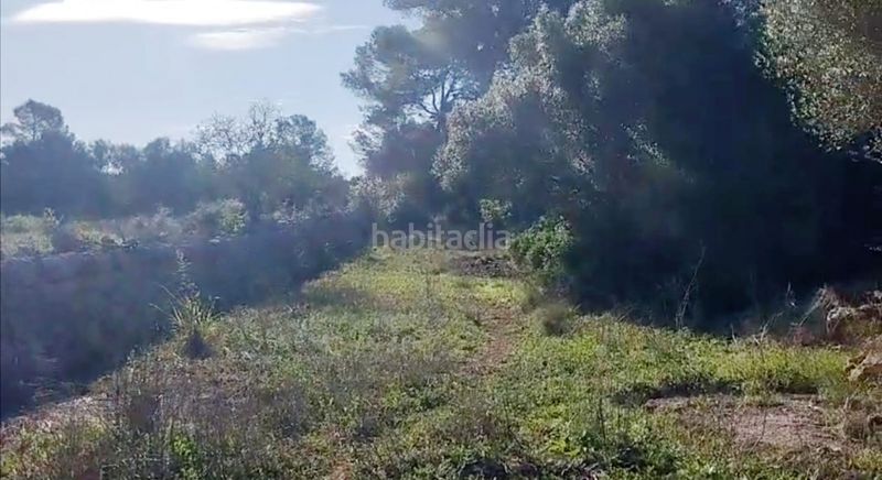 Foto 96e17e02-e541-4a47-abf5-21d47fa3b869. Finca rústica a 0 a Sineu