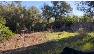 Rural plot in 0. Parcela generosa con licencia de obra ya aprobada y expedida en