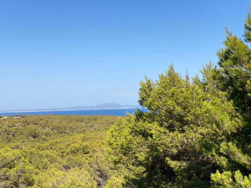 Foto de469fd5-42fa-4194-a5e9-114589ef4d12. Apartment in 0 in Sol de Mallorca Calvià