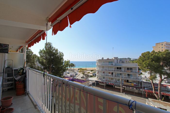 Foto 44cade99-f44e-4b6c-bffa-304434da84b9. Apartament a 0 a Magaluf Calvià