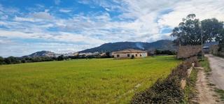 Finca rústica a 0. Se venden dos terrenos para proyecto de construcción.