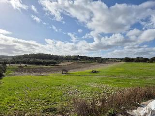Xalet a 0. Casa de campo con gran potencial en montuiri