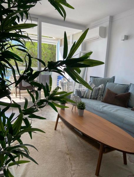 Foto dedd032e-ec75-48ff-91e6-0fa2f39405b4. Apartament a 0 a Costa de la Calma Calvià