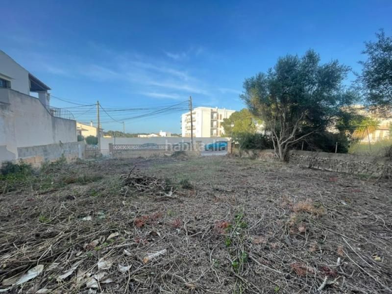 Foto 956dd60b-1b43-44e3-9760-39f2b3bd1629. Finca rústica en 0 en Cala Figuera Santanyí
