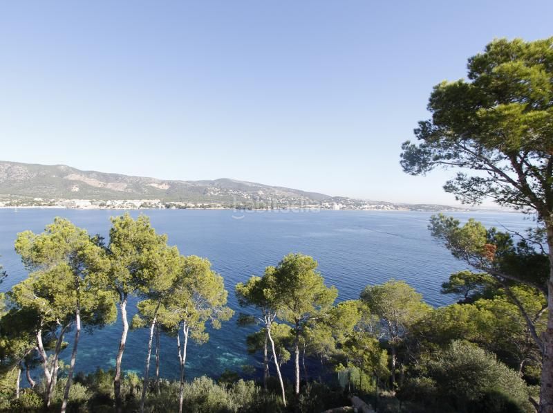 Foto 2b8c24ff-9353-46de-8fb2-962e6d11df37. Xalet a 0 a Magaluf Calvià