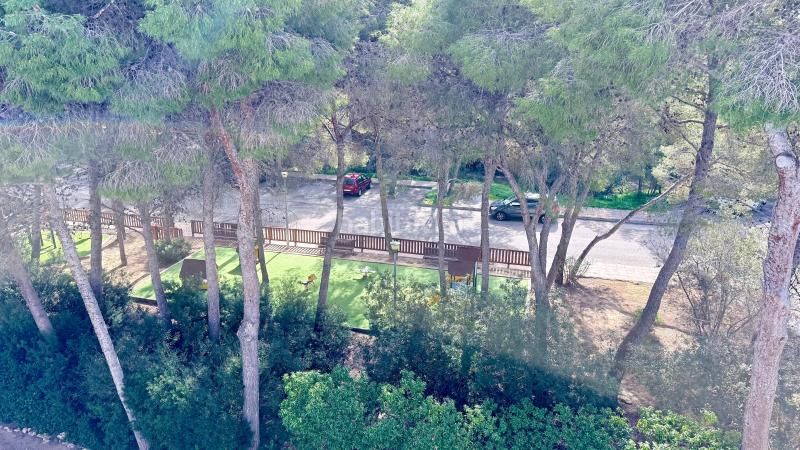 Foto b1c32fb9-d553-41ef-98e1-729987e4f80e. Apartament a Sol de Mallorca Calvià