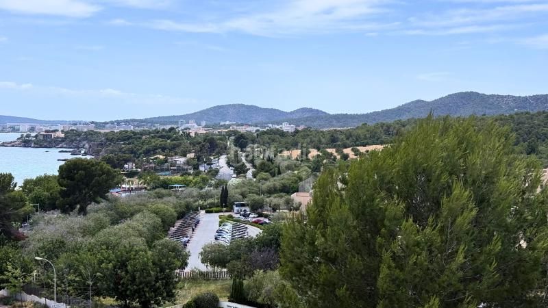 Foto 339e62bb-bdb4-4fb7-831f-295932a7ea6c. Apartament a 0 a Portals Nous Calvià