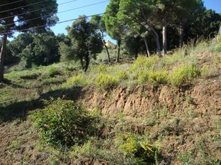 Terrain résidentiel à Carrer turó d'en vives 32. Solar urbano