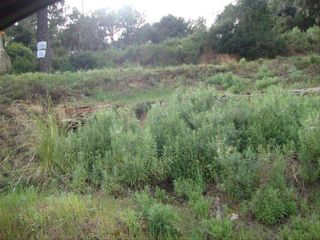 Terreny residencial a Calle centre 137. Terreno