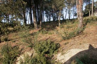 Terreny residencial a Carrer mirador del montnegre 111. Terreno semillano