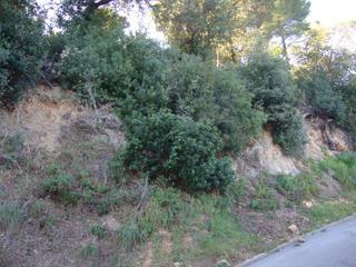Terrain résidentiel à Carrer collsacreu 16. Terreno en urbanización