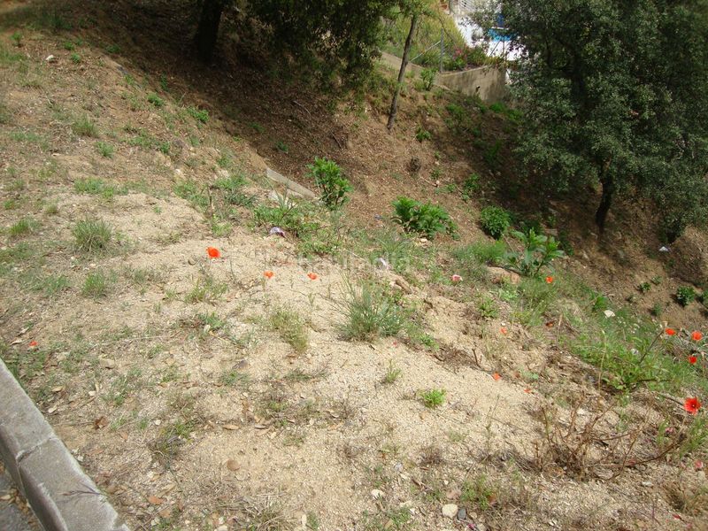 Foto 0e3a2fd9-0d3f-4720-a762-1c5698c05abb. Terreno residencial terreny edificable urb. can palau en Sant Cebrià de Vallalta