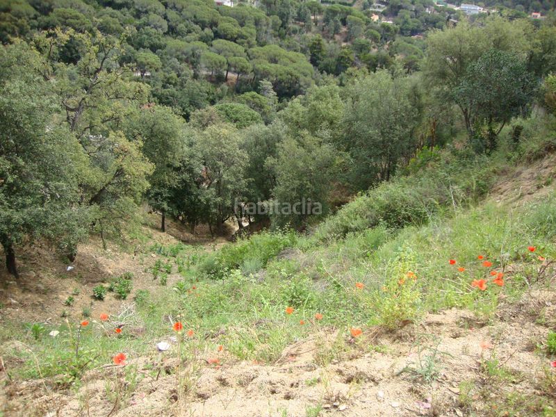 Foto d2fe9eea-faab-425c-a25b-49f78d241aed. Terreno residencial terreny edificable urb. can palau en Sant Cebrià de Vallalta