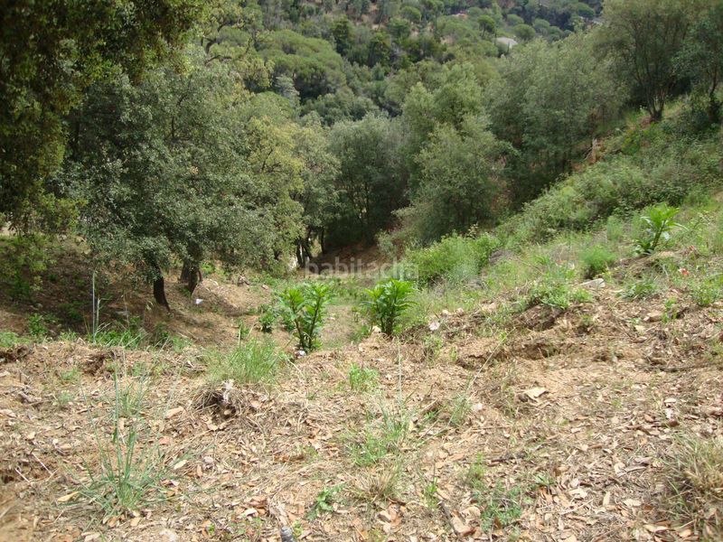 Foto f284d298-6027-499e-bff1-118efa3a52cc. Terreno residencial terreny edificable urb. can palau en Sant Cebrià de Vallalta