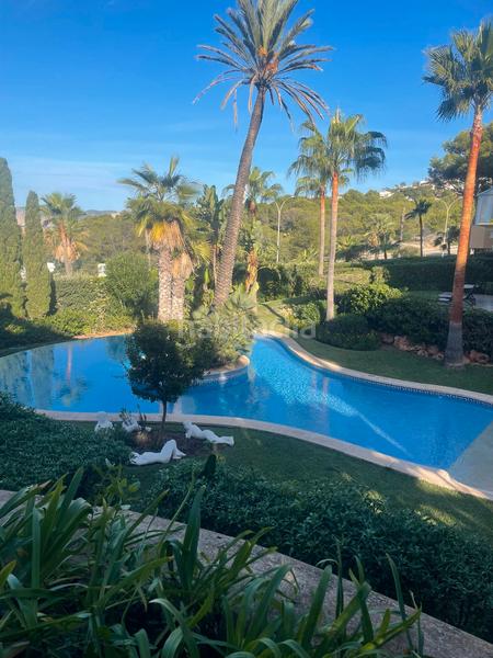 Foto b4bcf7fd-e410-470a-9596-10827b4b0373. Dúplex amb aparcament a Santa Ponça Calvià