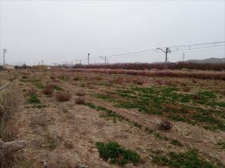 Residential Plot en Burgo de Ebro (El). Finca rustica de regadio de 11583 metros cuadrados junto al nucl