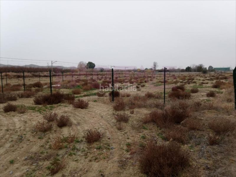 Foto 148e9098-b64a-4f3c-b734-96798354f60c. Terreny residencial a Burgo de Ebro (El)