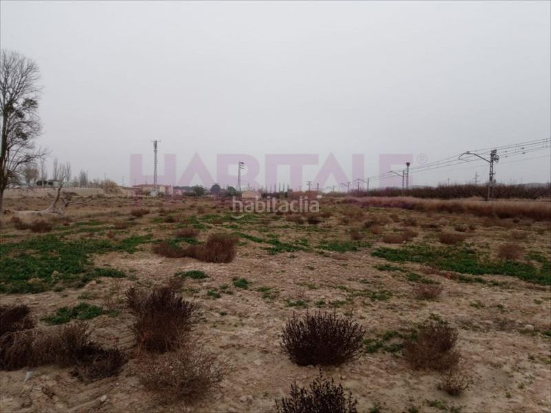 Foto 18d9ec46-3e32-42f3-803e-74a049d47a68. Terreny residencial a Burgo de Ebro (El)